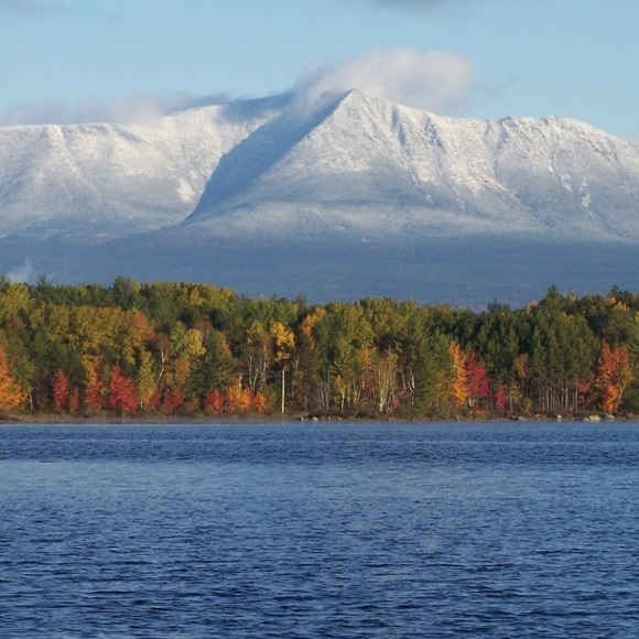 Meet your Posher, Anna - Picture 1 of 1